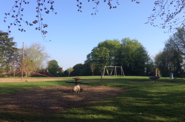 Castlehill Woods