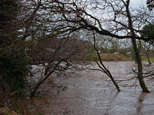 River Ayr during floods taken on the 30th December 2013