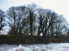 River Ayr frozen taken in December 2010