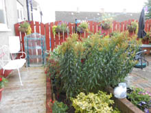 Garden competition winner 2014